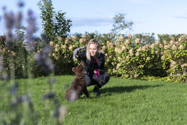 135854 Bunny Puppy Crunchy Chew