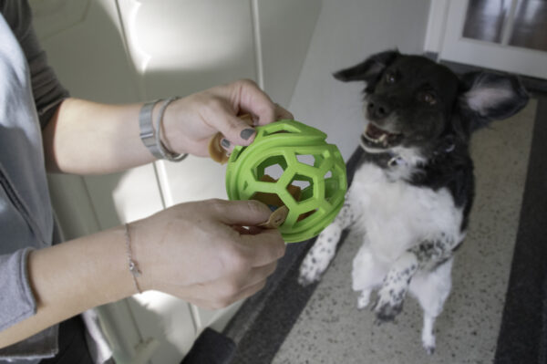 Dog Comets Titan Oranje M 11,5 cm