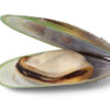 New Zealand green lipped mussel Excellent Pets Dog Mobility+