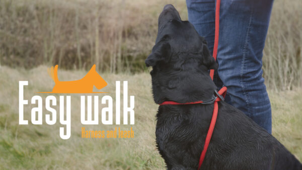 Easy Walk Handmodel Rood