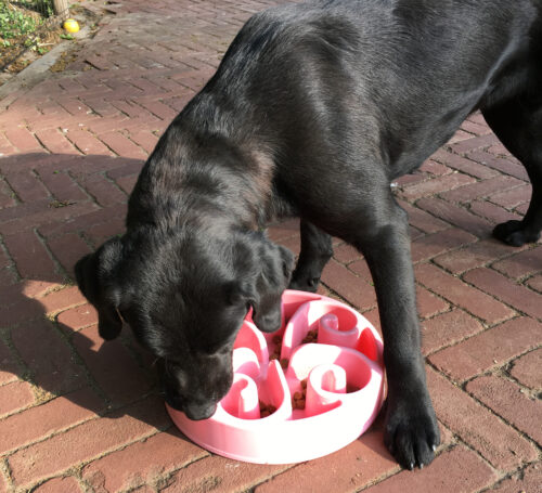 135925 Eat Slow Live Longer Original Blue S