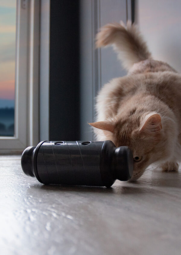 135926 Eat Slow Live Longer Feed and Treat L Grijs