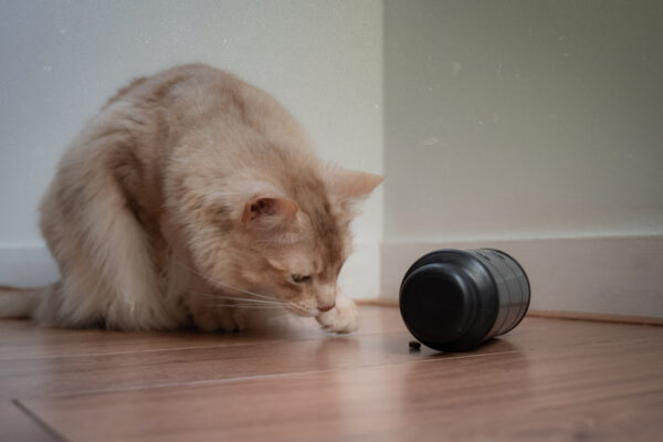 135927 Eat Slow Live Longer Feed and Treat L Grijs