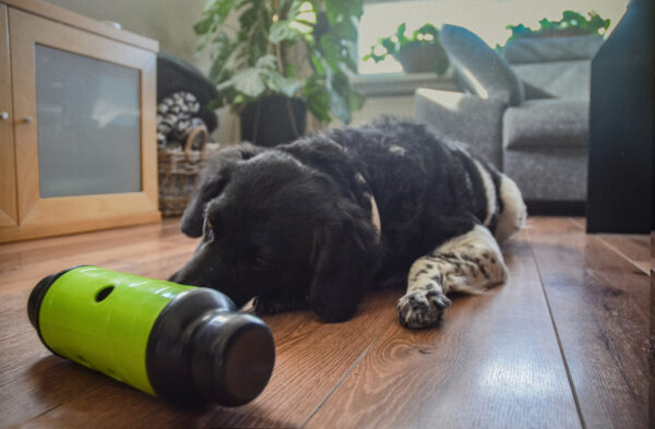 135928 Eat Slow Live Longer Feed and Treat L Grijs