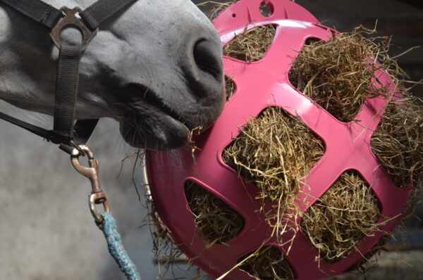 Hooi feeder dop voor HeuBoy