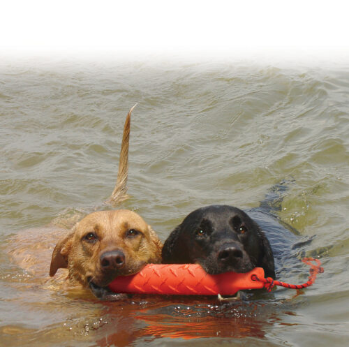 136048 KONG Training Dummy L 50,8 cm