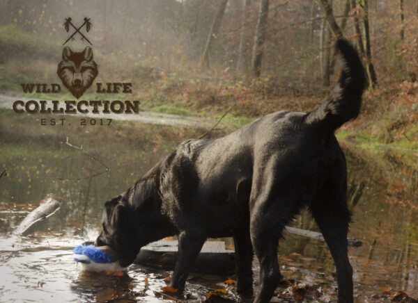 136303 Wild Life Dog Duck (Eend)