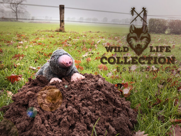 136307 Wild Life Dog Mole (Mol)