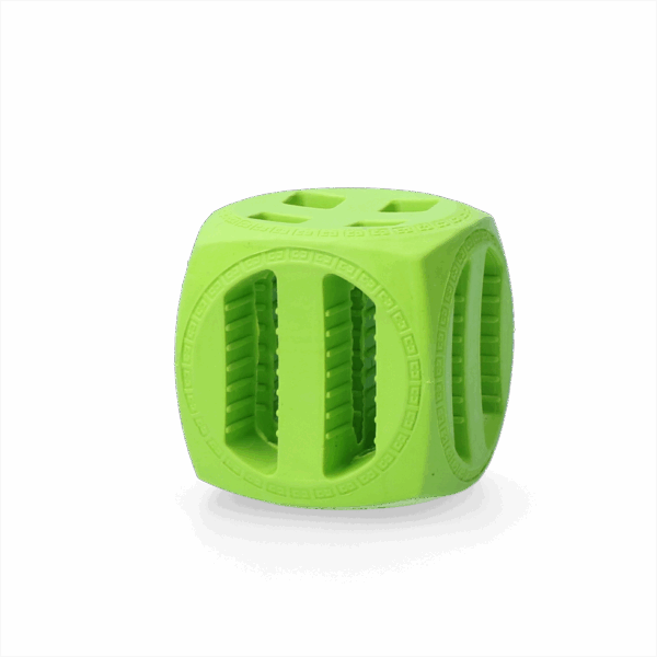 254097 Dog Comets Pollux Oranje