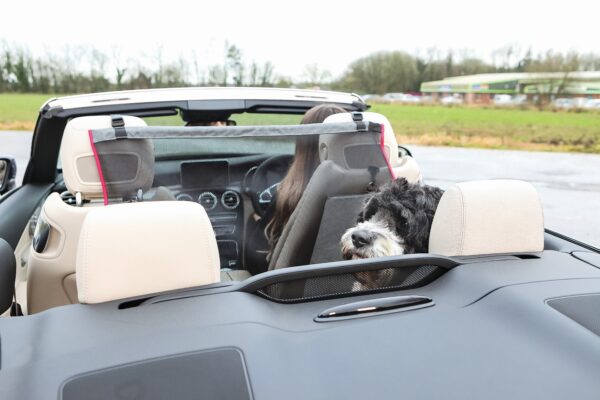 258625 KONG Protective Seat Barrier