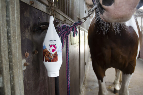 260556 Deep Ice Gel met pompje