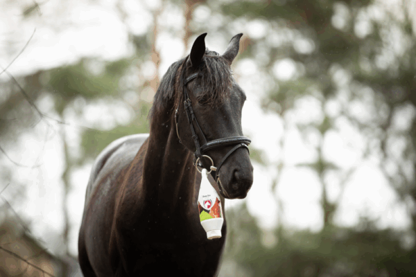 260665 Deep Ice Gel met pompje