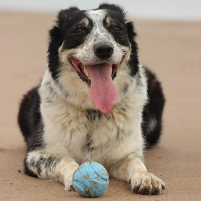 262301 Chuckit Fetch Medley S 5 cm 3 Pack