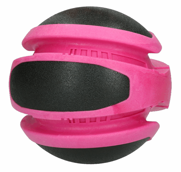 Dog Comets Planet Jupiter Roze