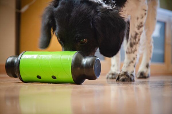 262980 Eat Slow Live Longer Feed and Treat L Groen