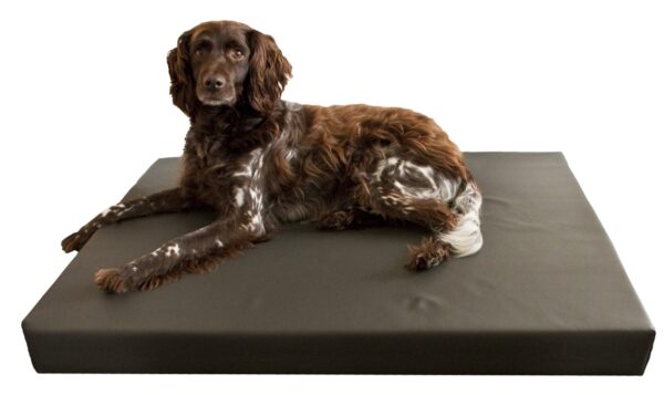 264931 HD Dog Bed M