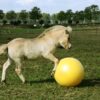 Maximus Power Play Ball 100cm