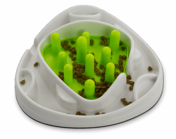 AFP Interactive Food Maze 28x28x8cm