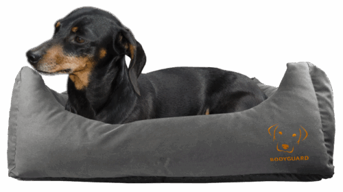 Bodyguard Sofa Bed S Grey