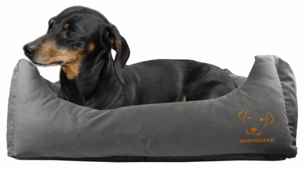 266228 Bodyguard Sofa Bed S Grey