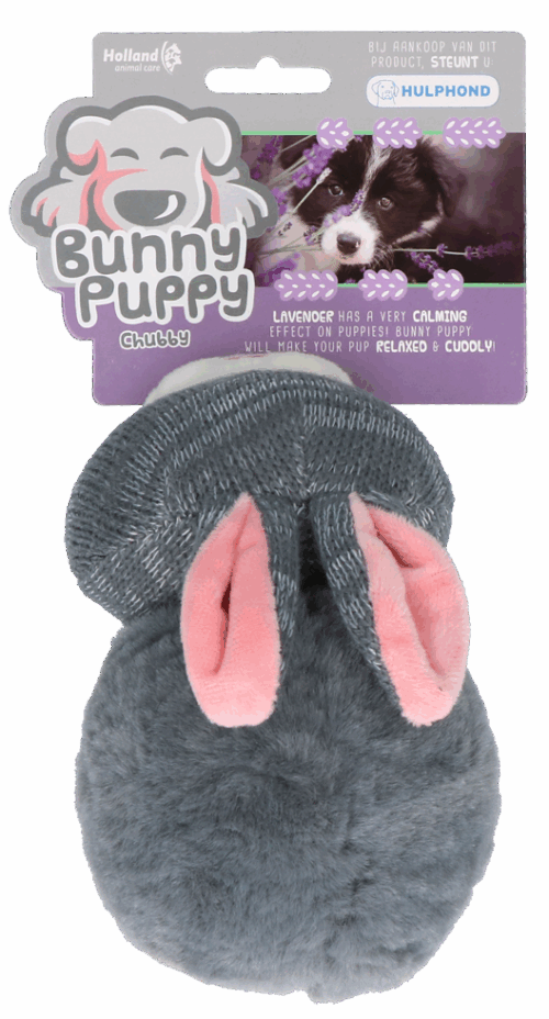 266368 Bunny Puppy Chubby