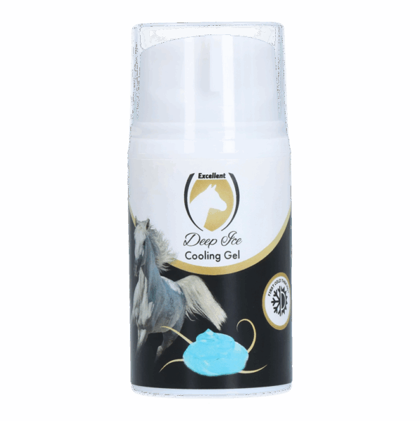 268808 Deep Ice Gel met pompje