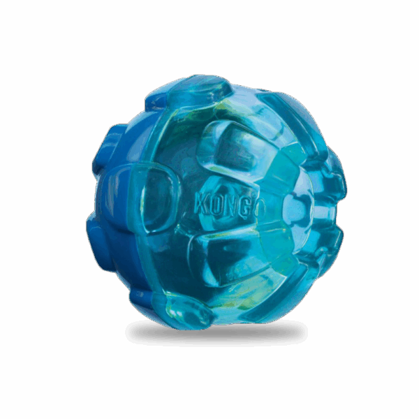 269700 KONG Rewards Ball L.