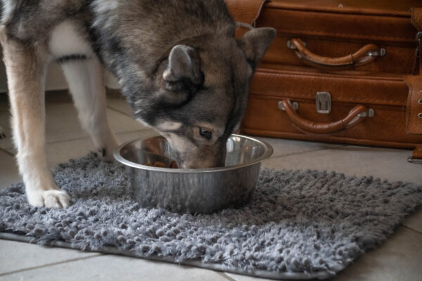 270460 Royal Dry Spillmat