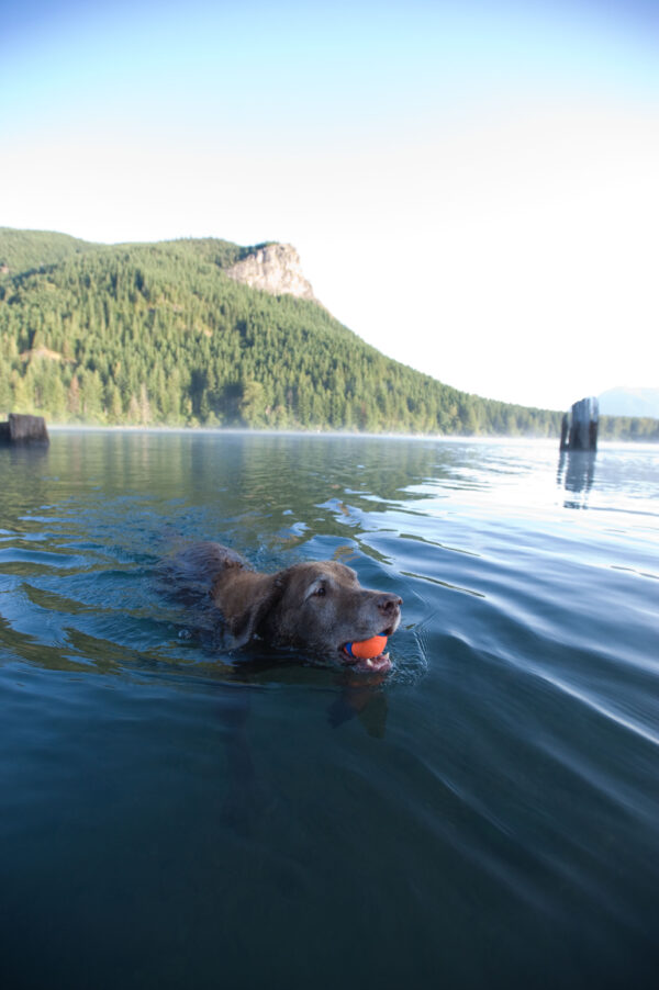 Chuckit Ultra Ball S 5 cm 2 Pack