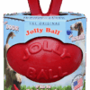 274305 Jolly Ball 20cm rood Paard en Hond