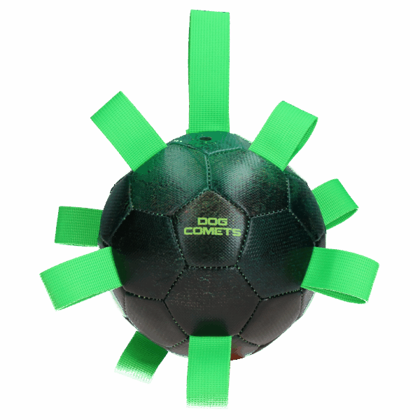 274467 Dog Comets Hypernova Groen