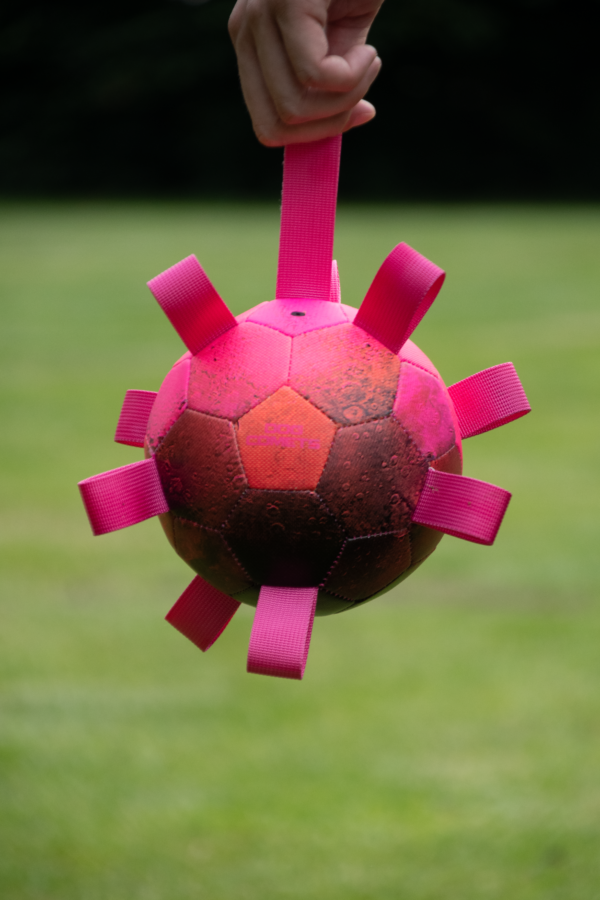 274550 Dog Comets Hypernova Oranje