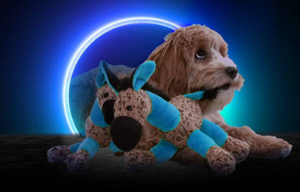 275421 Retrodog Donkey Blue M