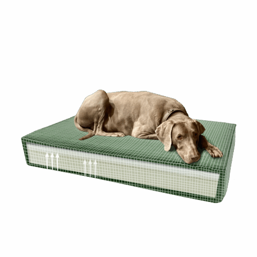 275535 Madison Orthopedisch kussen Velvet groen S