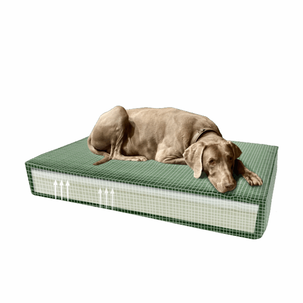 Madison Orthopedisch kussen Velvet groen S