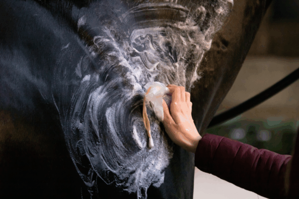 Excellent Horse Hi Gloss Shampoo Bar Lavendel 60 g