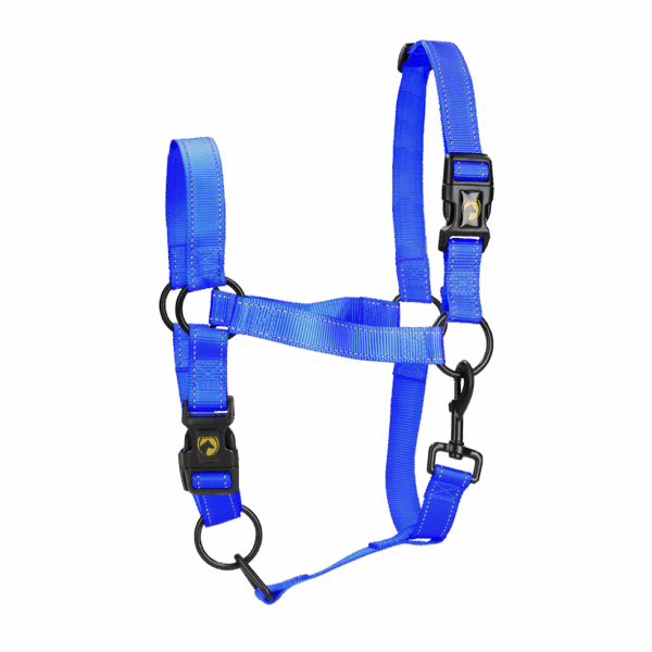 275929 Excellent Horse Premium Halster M Pony Blauw