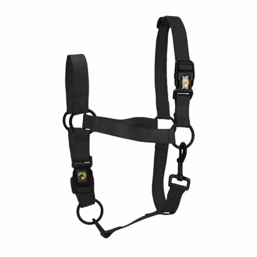 Excellent Horse Essential Halster M Pony Zwart