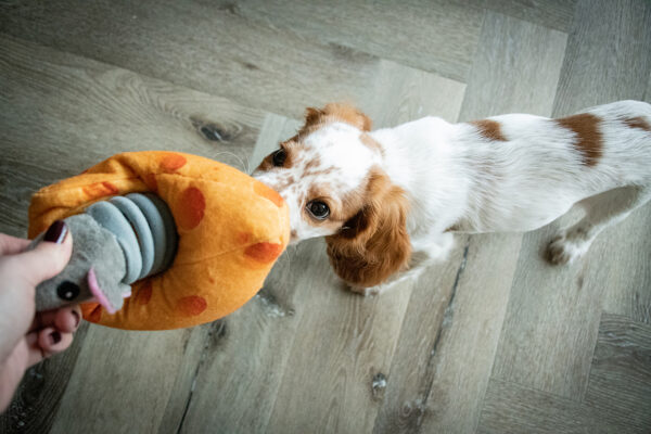 276411 Double Wobble Cheesy Comrades