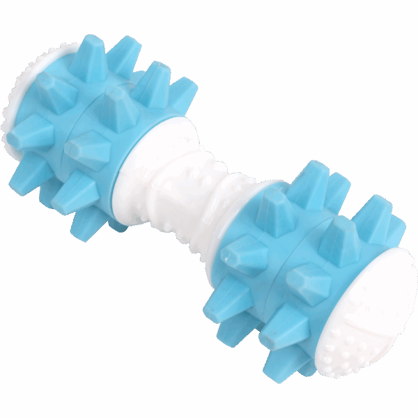 276598 Pawise Giggle toy-dumbbell