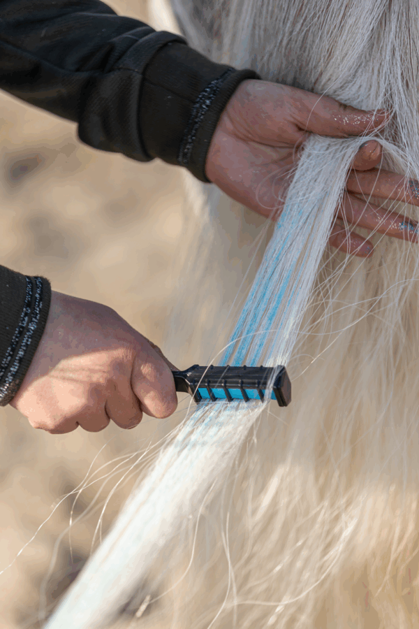 277362 Paardenpraat regenboog kleurkrijt