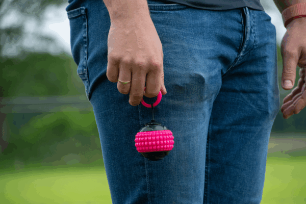 277765 Dog Comets Blazar Jet Groen