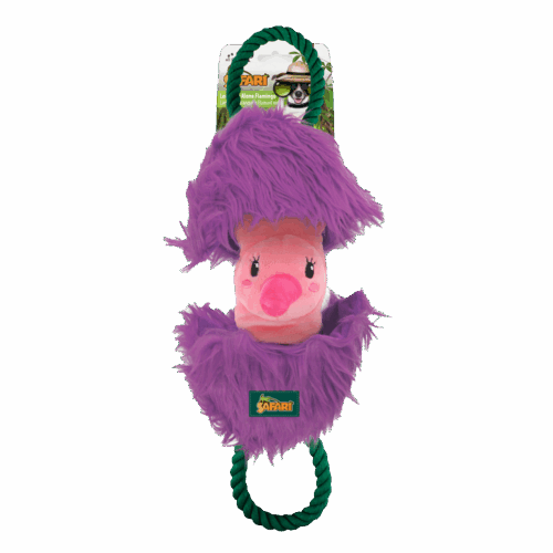 277965 AFP Safari - Leave me alone Flamingo