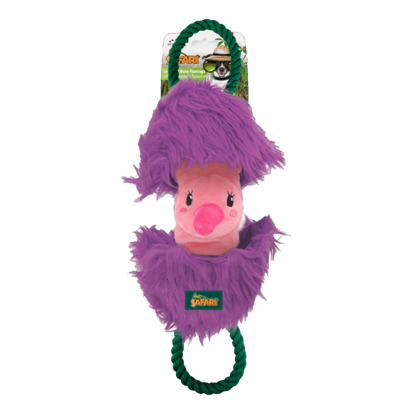 277965 AFP Safari - Leave me alone Flamingo