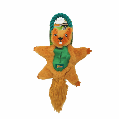 278002 AFP Safari - Air Squirrel