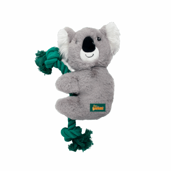 278104 AFP Safari - Rope Cuddle Sloth