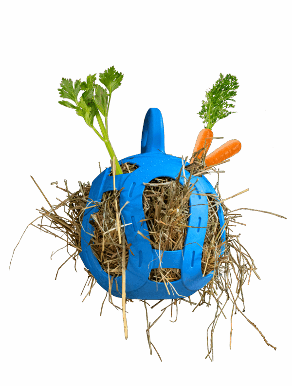 278145 Jolly Hay Ball blauw 20 cm