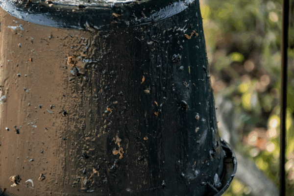 278235 Sticky Trap emmer zwart compleet