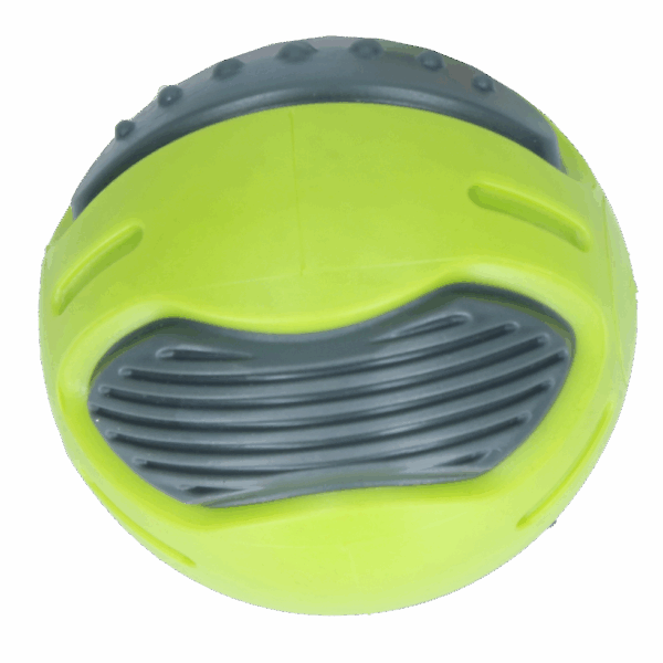 278492 Pawise Dog Squeaky Bone