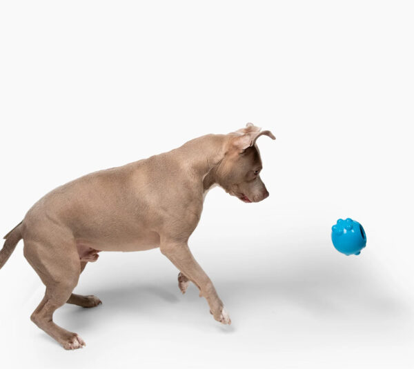 278892 Jolly Dipper 7,6 cm